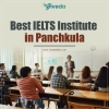 Best IELTS Institute in Panchkula Avatar